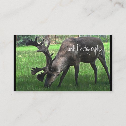 Grazing Caribou Business Card