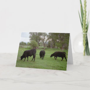 Grazing Cattle v1 Letterpress Thank You Card