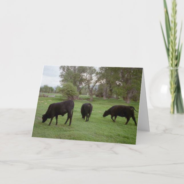 Grazing Cattle v1 Thank You Card (Front)
