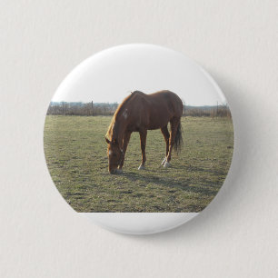 Grazing Chestnut Color Horse Button