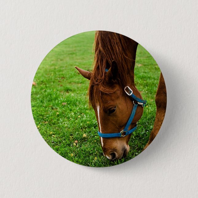 Grazing Chestnut with Stripe Pinback Button (Front)