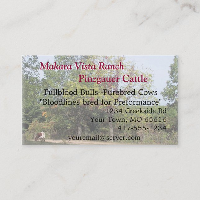 Grazing Cow Biz Card2-customize Business Card (Front)
