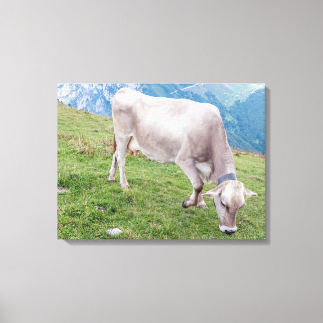 Grazing cow view canvas print (Front)