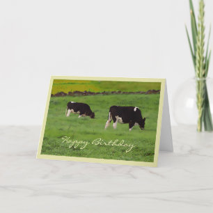Grazing cows Birthday card