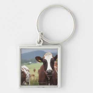 Grazing cows keychain