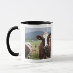 Grazing cows mug