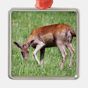 Grazing Deer Metal Ornament