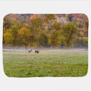 Grazing Elk Couple Receiving Blanket