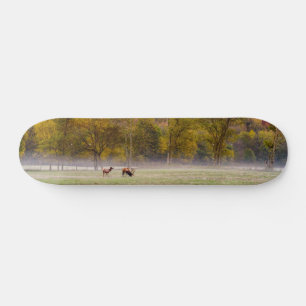 Grazing Elk Couple Skateboard