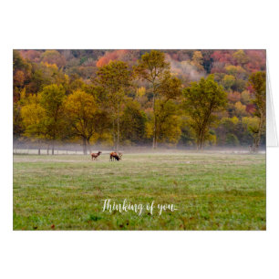 Grazing Elk Couple Thinking Of You Card