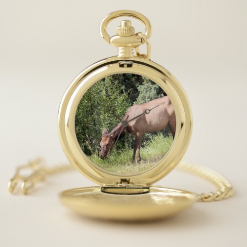 Grazing Elk Mammoth Springs Yellowstone Pocket Watch
