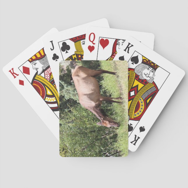 Grazing Elk, Mammoth Springs, Yellowstone Poker Cards (Back)