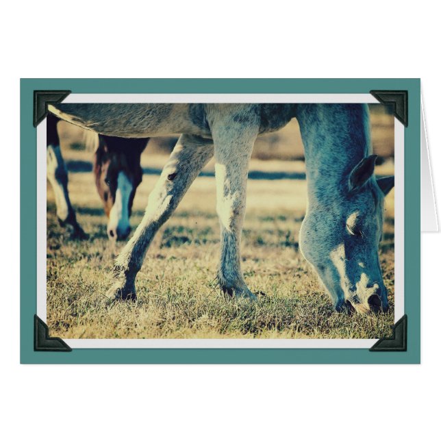 Grazing Equines Cards (Front Horizontal)