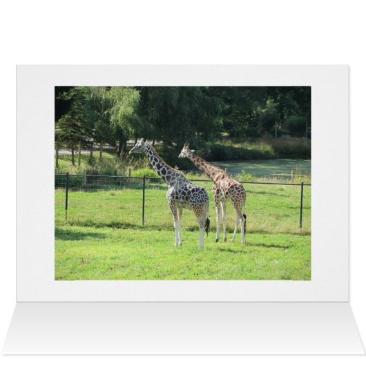 Grazing Giraffes with Scripture Verse (Inside Horizontal (Top))