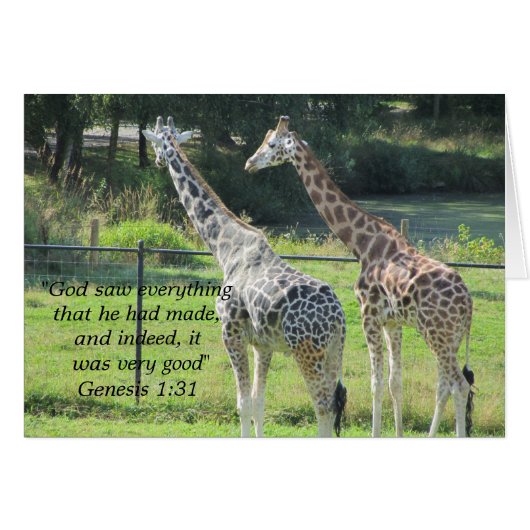 Grazing Giraffes with Scripture Verse (Front Horizontal)
