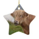 Grazing Highland Cow Ceramic Ornament