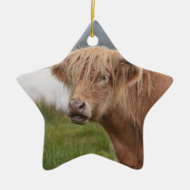 Grazing Highland Cow Ceramic Ornament (Front)