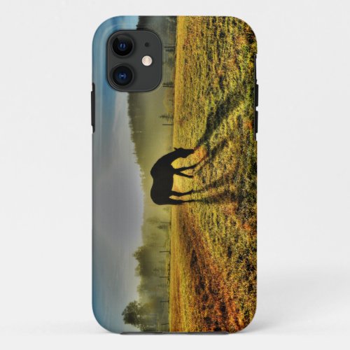 Grazing Horse at Sunrise in Misty Field Photo iPhone 11 Case