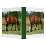 Grazing Horse Family Binder