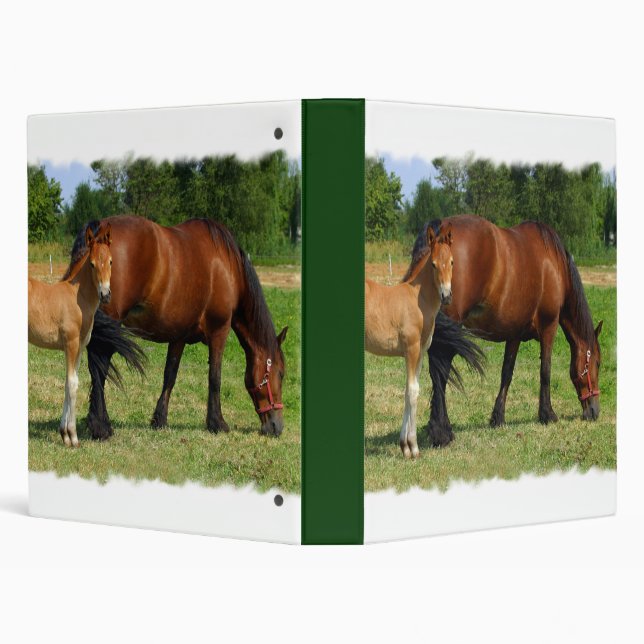 Grazing Horse Family Binder (Background)