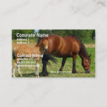 Grazing Horse Family Business Card
