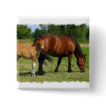 Grazing Horse Family Square Pin