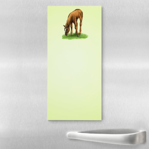 Grazing Horse Foal Magnetic Notepad