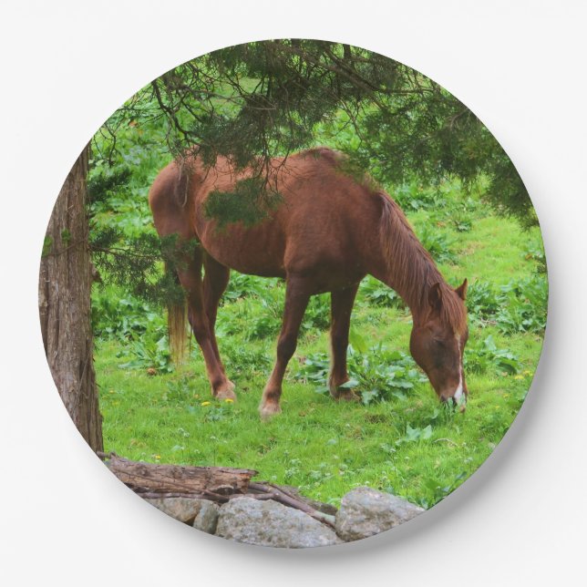 Grazing Horse Paper Plate (Front)