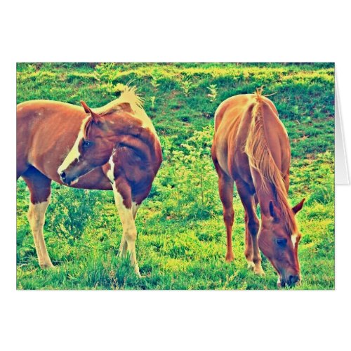 Grazing Horses