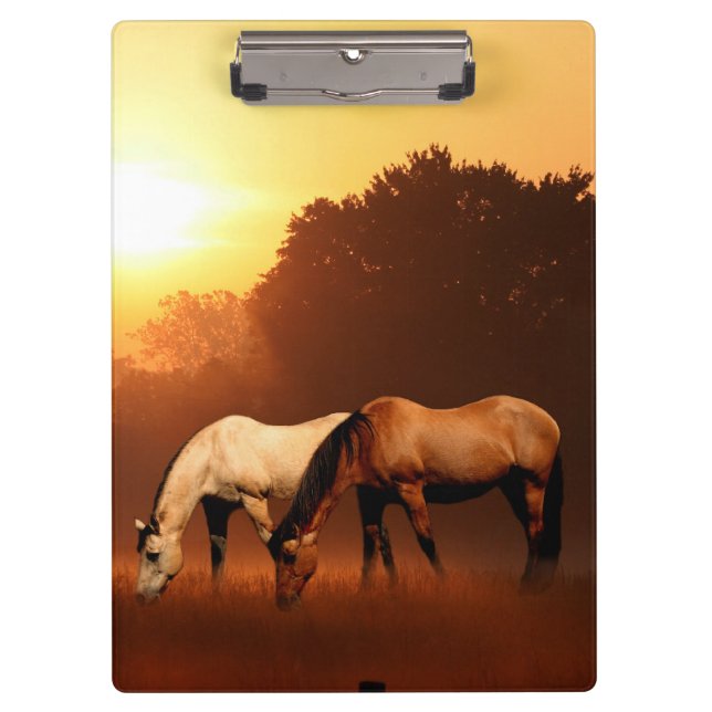 Grazing horses at dawn clipboard (Front)