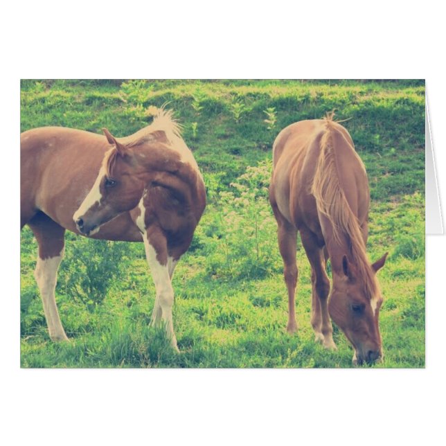 Grazing Horses Cards (Front Horizontal)