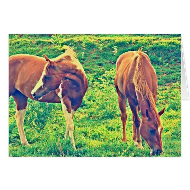 Grazing Horses Cards (Front Horizontal)