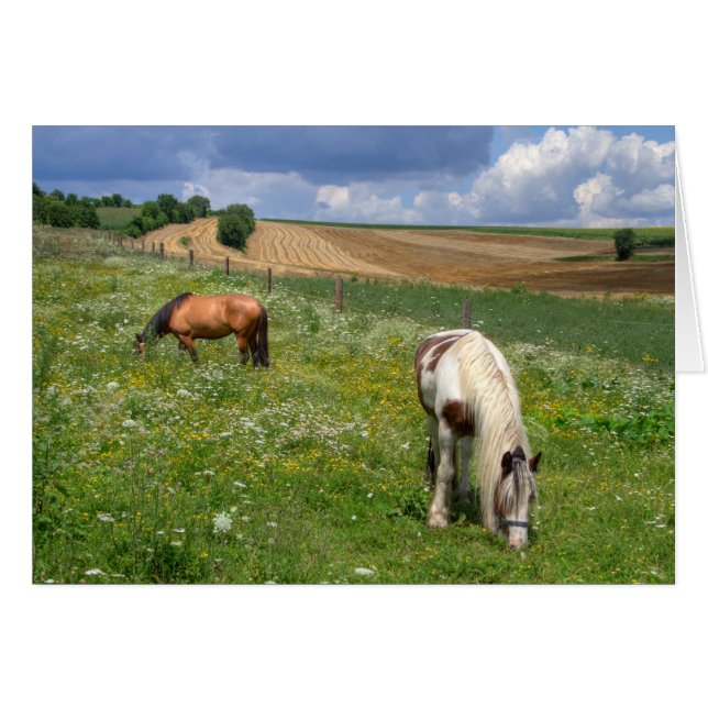 Grazing Horses Cards (Front Horizontal)