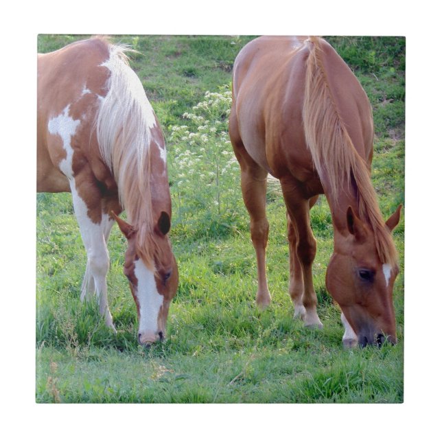 Grazing Horses Ceramic Tile (Front)