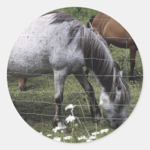 Grazing Horses Classic Round Sticker