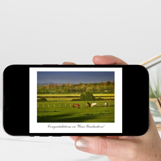 Grazing Horses - Congratulations on Graduating Card (Front Digital)