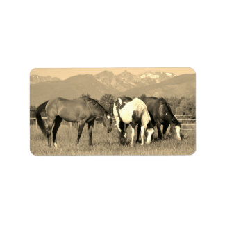 Grazing Horses in Montana Sepia Western Style Label