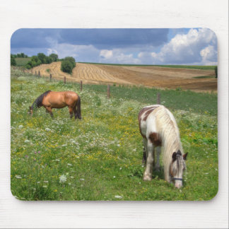 Grazing Horses Mouse Pad