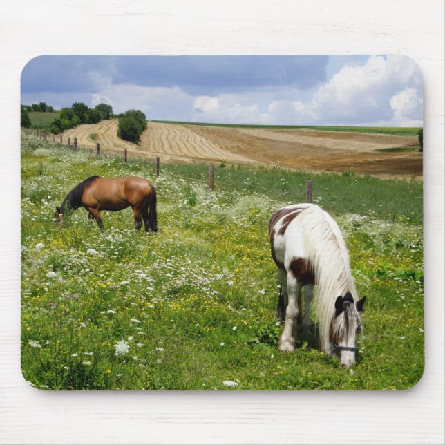 Grazing horses mouse pad (Front)