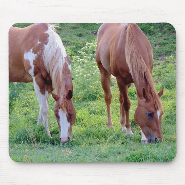 Grazing Horses Mouse Pad (Front)