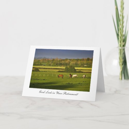 Grazing Horses  Ponies Good luck in Your Retirem Card