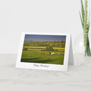 Grazing Horses / Ponies - Happy Birthday Card