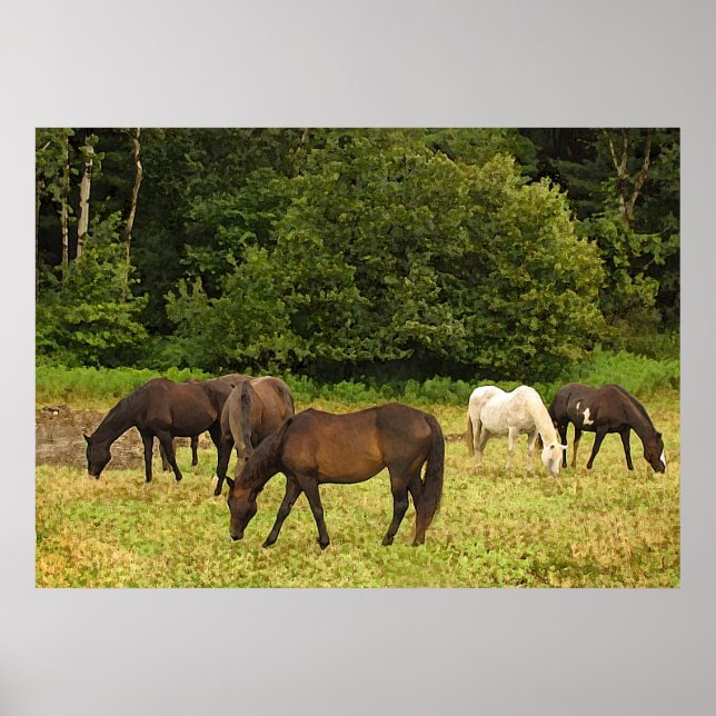Grazing Horses Poster (Front)