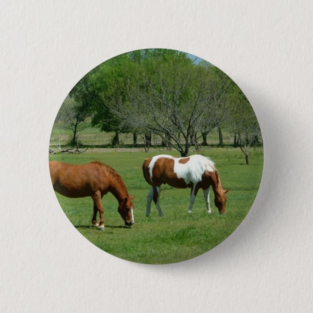Grazing Horses Scene Pinback Button (Front)