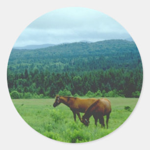 Grazing Horses with Mountain Backdrop Classic Round Sticker
