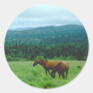 Grazing Horses with Mountain Backdrop Classic Round Sticker