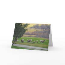 Grazing in Autumn Greeting Card