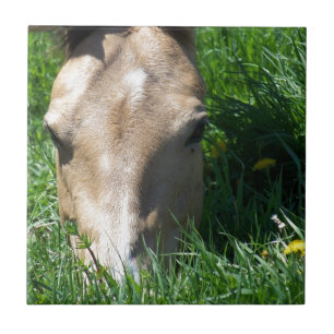 Grazing In The Grass Ceramic Tile