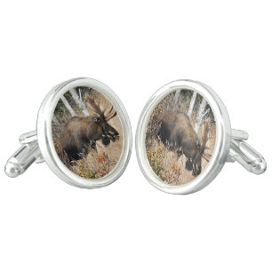 Grazing Moose Cufflinks