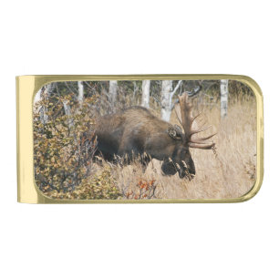 Grazing Moose Gold Finish Money Clip